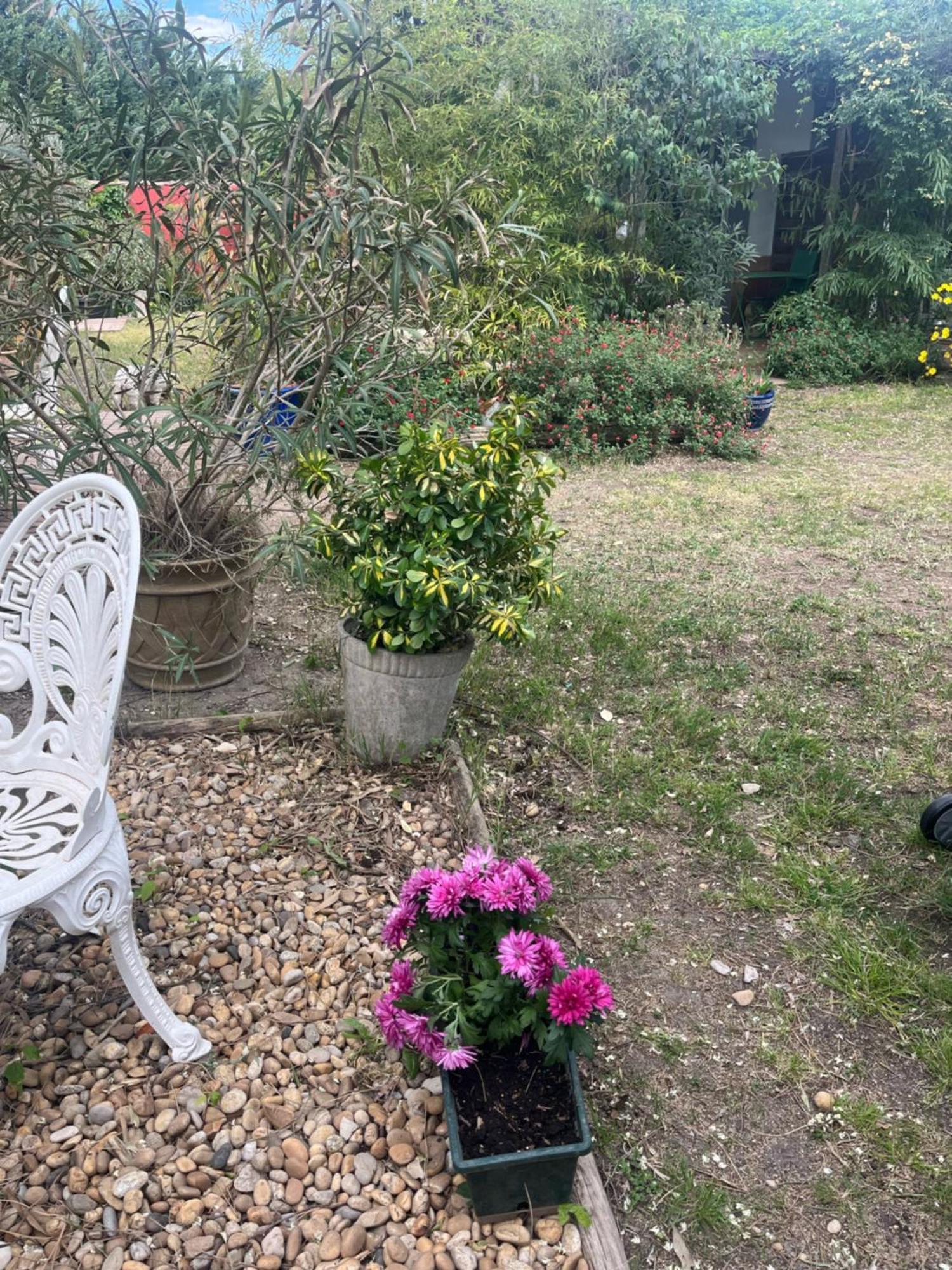 Appartement - Mas Saint-louis - Piscine Chauffee *