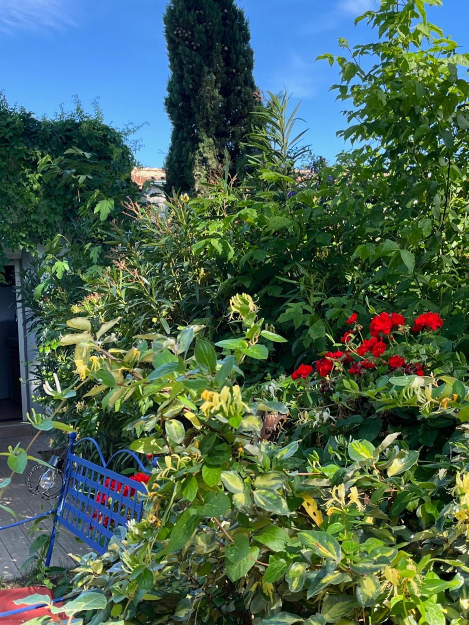 - Mas Saint-louis - Piscine Chauffee Appartement Aigues-Mortes